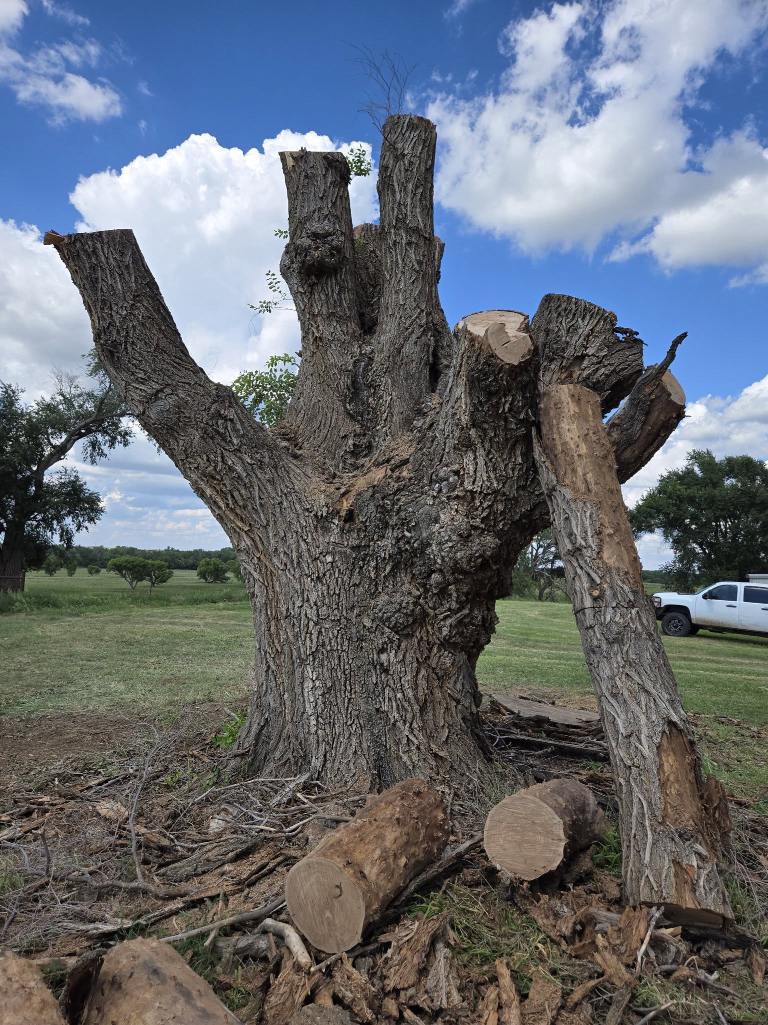 A and A Tree Service crew completing a tree job in Altus