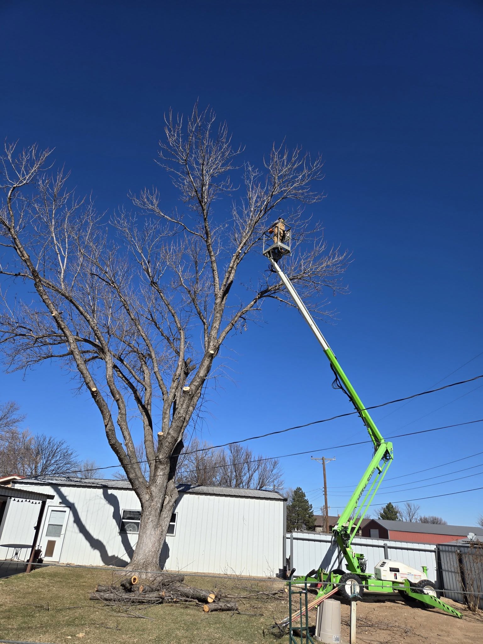 A and A Tree Service equipment on a completed job